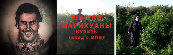 индика Белокуриха