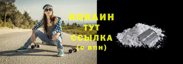 индика Белокуриха