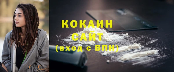 индика Белокуриха