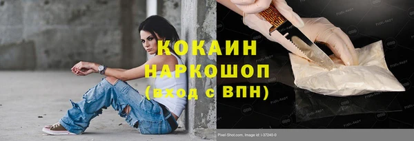 индика Белокуриха