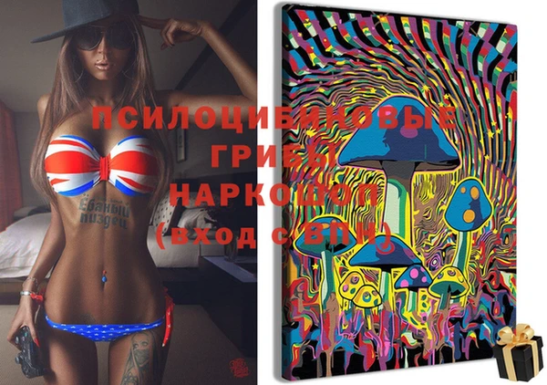 индика Белокуриха