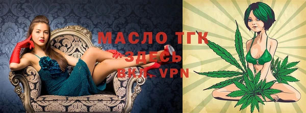 индика Белокуриха