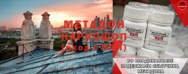 индика Белокуриха