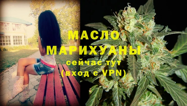 индика Белокуриха