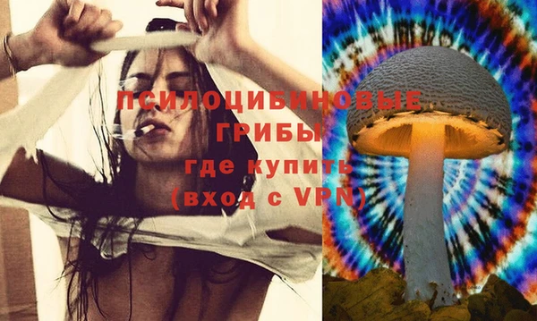 индика Белокуриха